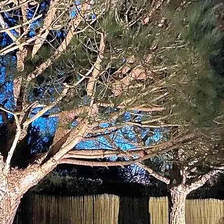 L'instant Océan
